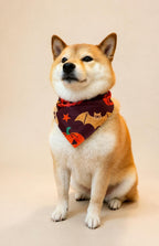Halloween Dog Bandana, Tie-On Pet Scarf for Dogs & Cats, Pumpkin Ghost Skull Costume Accessory, 3 Spooky Prints