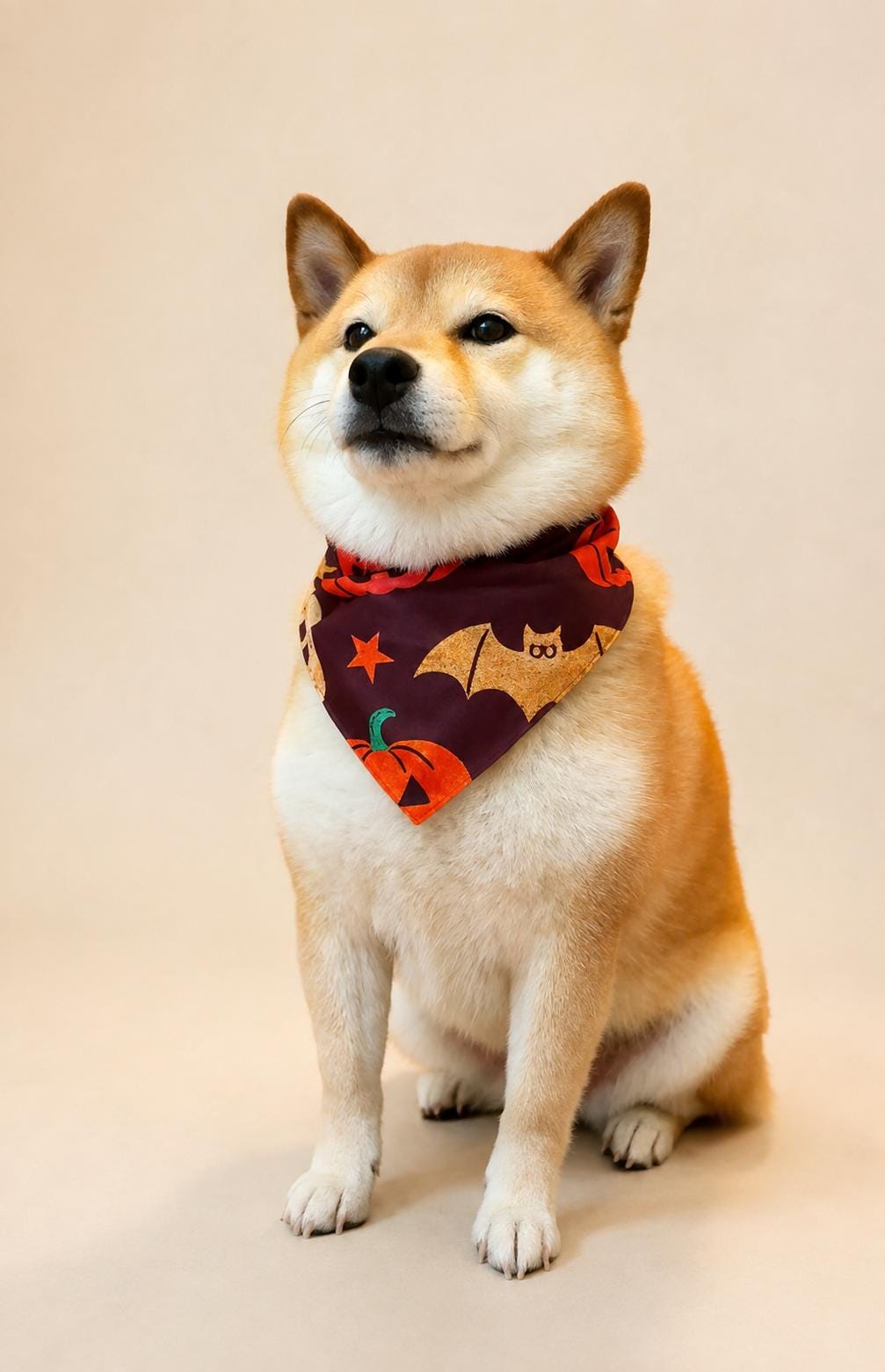 Halloween Dog Bandana, Tie-On Pet Scarf for Dogs & Cats, Pumpkin Ghost Skull Costume Accessory, 3 Spooky Prints