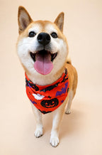 Halloween Dog Bandana, Tie-On Pet Scarf for Dogs & Cats, Pumpkin Ghost Skull Costume Accessory, 3 Spooky Prints
