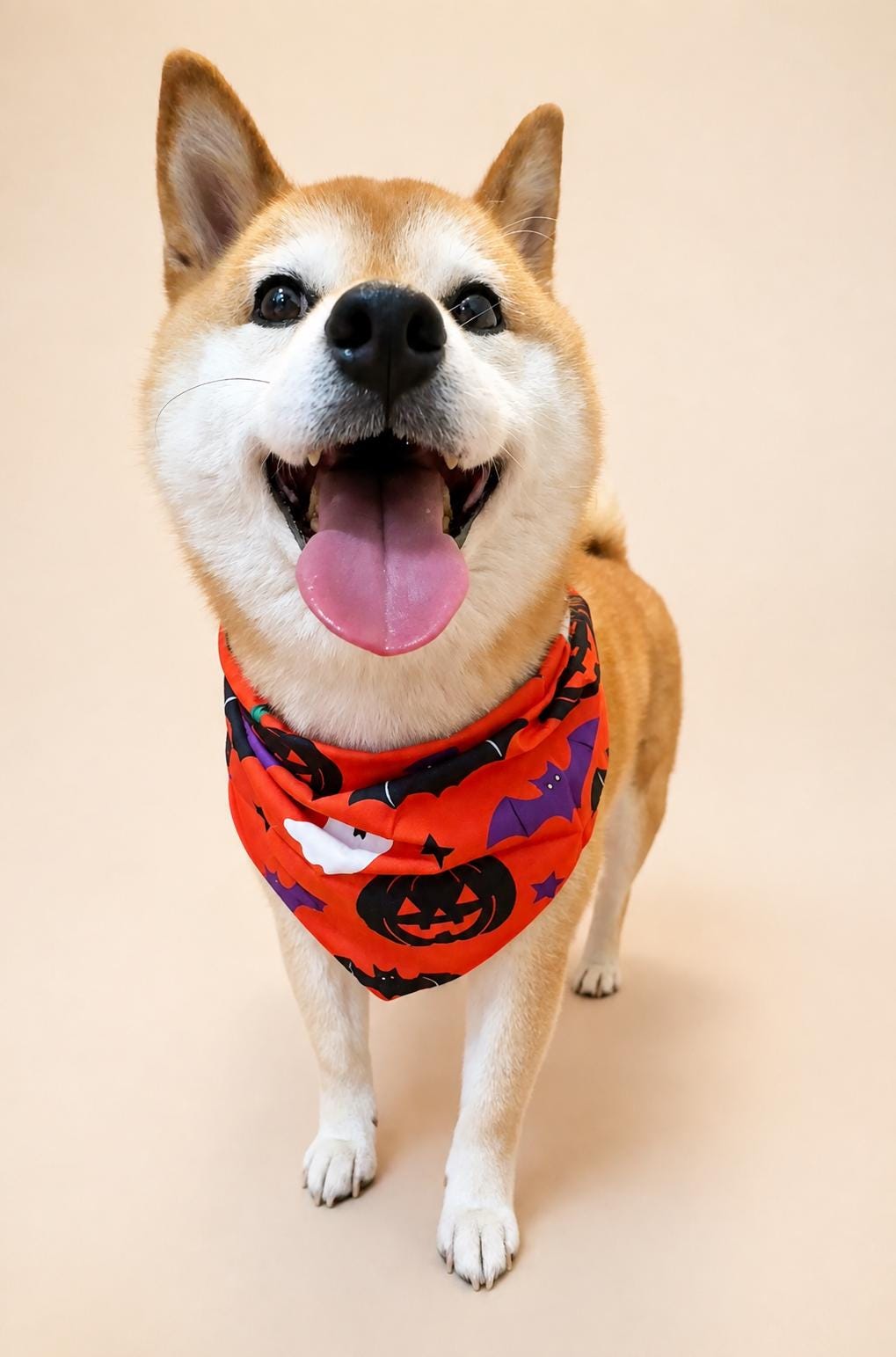 Halloween Dog Bandana, Tie-On Pet Scarf for Dogs & Cats, Pumpkin Ghost Skull Costume Accessory, 3 Spooky Prints