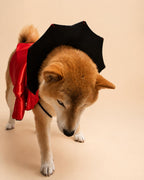 Dog Vampire Cape Costume, Red & Black Halloween Pet Outfit for Dogs and Cats, Adjustable Tie-On Bat Collar