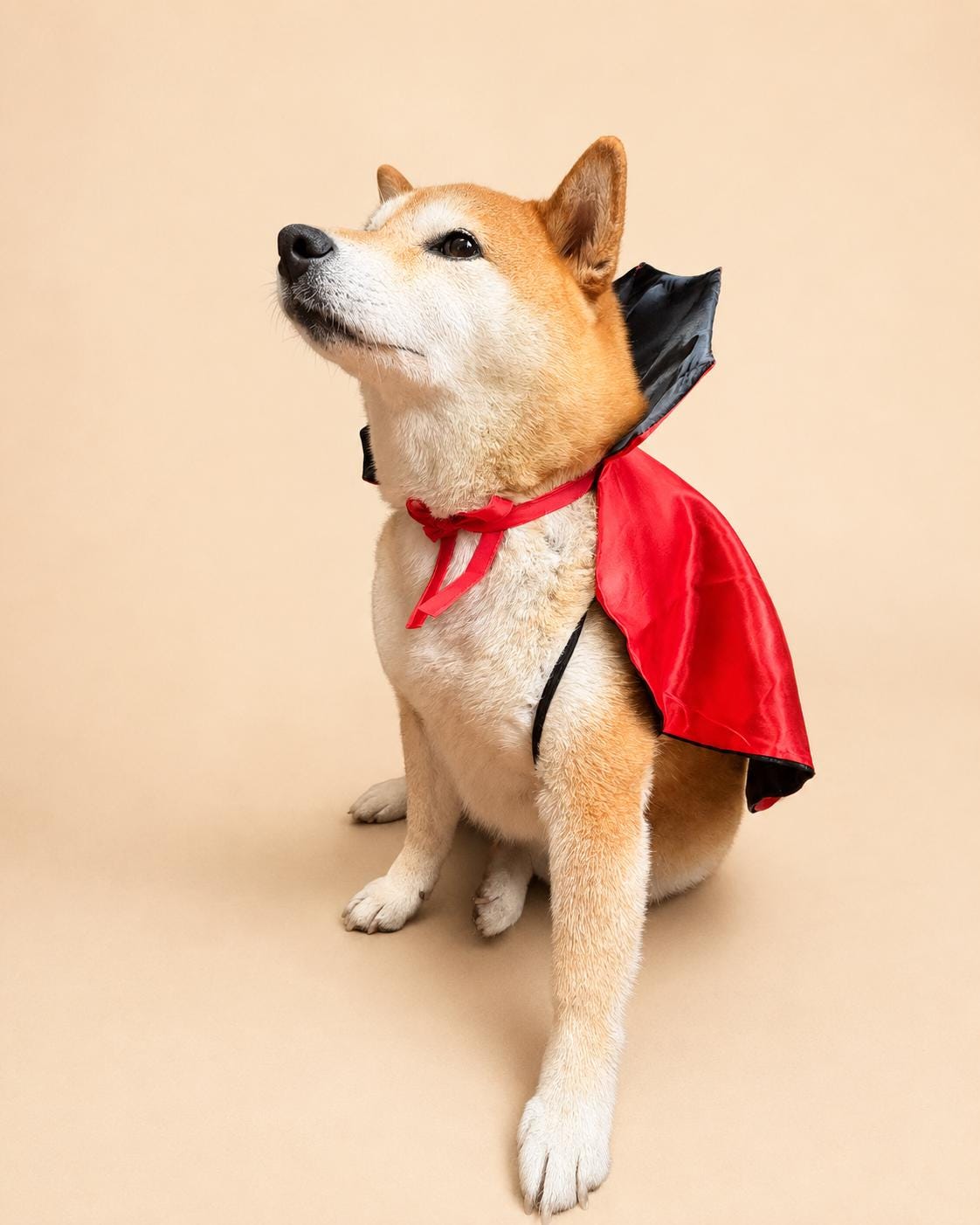 Dog Vampire Cape Costume, Red & Black Halloween Pet Outfit for Dogs and Cats, Adjustable Tie-On Bat Collar