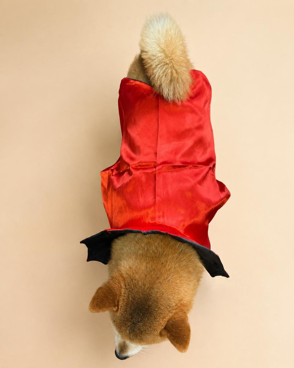 Dog Vampire Cape Costume, Red & Black Halloween Pet Outfit for Dogs and Cats, Adjustable Tie-On Bat Collar