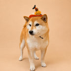 Halloween Pet Witch Hat for Cats, Dogs and Other Pets, Adjustable Halloween Costume Hat, Orange or Black, Pet Photo Prop Australia