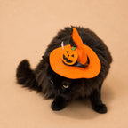 Halloween Pet Witch Hat for Cats, Dogs and Other Pets, Adjustable Halloween Costume Hat, Orange or Black, Pet Photo Prop Australia