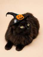 Halloween Pet Witch Hat for Cats, Dogs and Other Pets, Adjustable Halloween Costume Hat, Orange or Black, Pet Photo Prop Australia