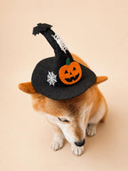 Halloween Pet Witch Hat for Cats, Dogs and Other Pets, Adjustable Halloween Costume Hat, Orange or Black, Pet Photo Prop Australia