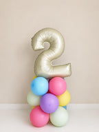 Pastel Terrible TWO Birthday Balloon Stack | 2nd Birthday Decor | Kid's Birthday Party Decor