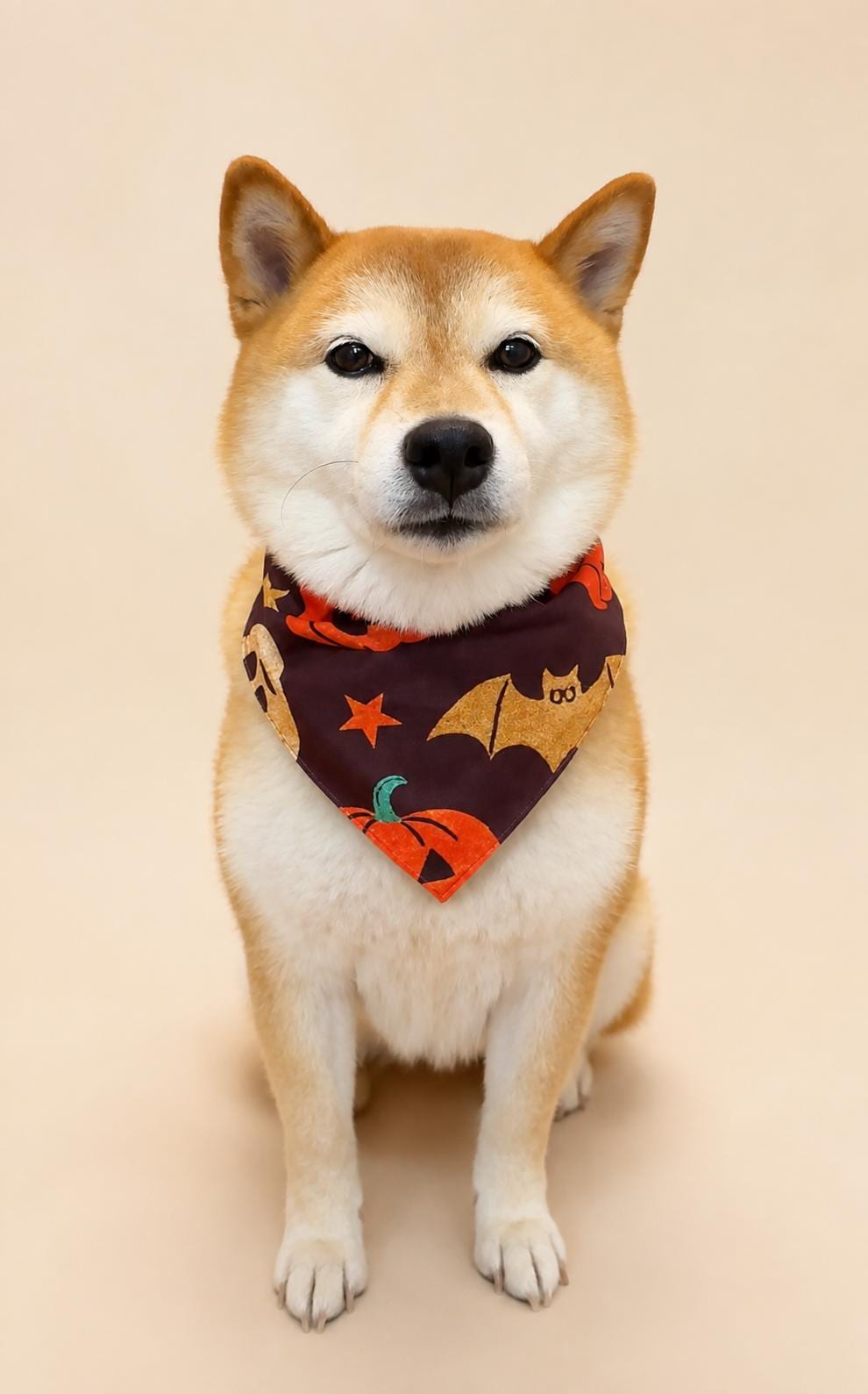 Halloween Dog Bandana, Tie-On Pet Scarf for Dogs & Cats, Pumpkin Ghost Skull Costume Accessory, 3 Spooky Prints