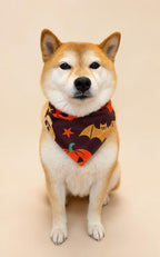 Halloween Dog Bandana, Tie-On Pet Scarf for Dogs & Cats, Pumpkin Ghost Skull Costume Accessory, 3 Spooky Prints