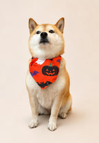 Halloween Dog Bandana, Tie-On Pet Scarf for Dogs & Cats, Pumpkin Ghost Skull Costume Accessory, 3 Spooky Prints
