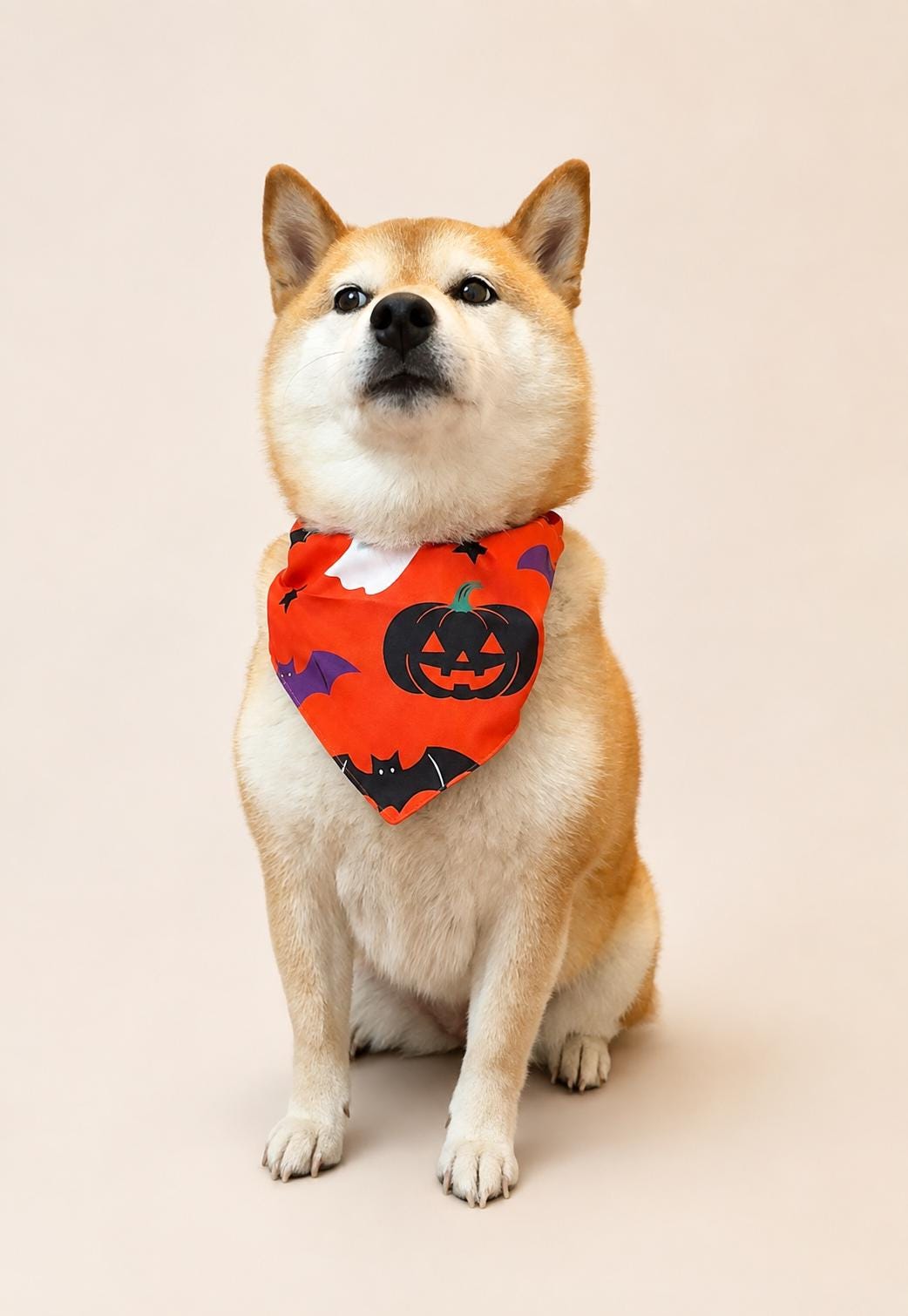 Halloween Dog Bandana, Tie-On Pet Scarf for Dogs & Cats, Pumpkin Ghost Skull Costume Accessory, 3 Spooky Prints