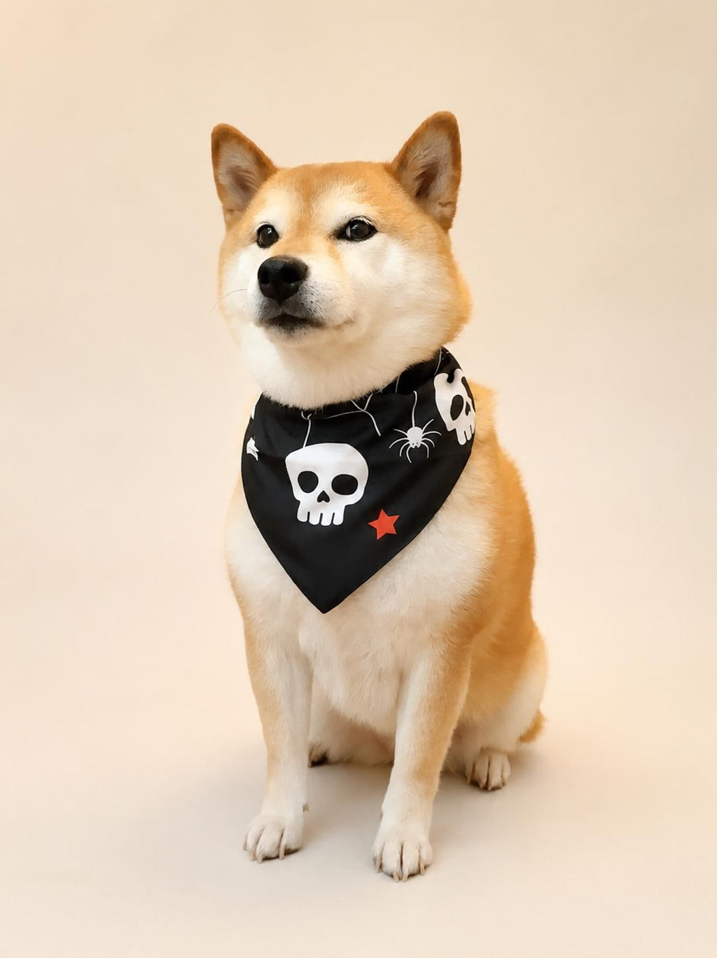 Halloween Dog Bandana, Tie-On Pet Scarf for Dogs & Cats, Pumpkin Ghost Skull Costume Accessory, 3 Spooky Prints