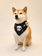 Halloween Dog Bandana, Tie-On Pet Scarf for Dogs & Cats, Pumpkin Ghost Skull Costume Accessory, 3 Spooky Prints