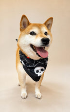 Halloween Dog Bandana, Tie-On Pet Scarf for Dogs & Cats, Pumpkin Ghost Skull Costume Accessory, 3 Spooky Prints