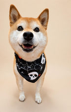 Halloween Dog Bandana, Tie-On Pet Scarf for Dogs & Cats, Pumpkin Ghost Skull Costume Accessory, 3 Spooky Prints