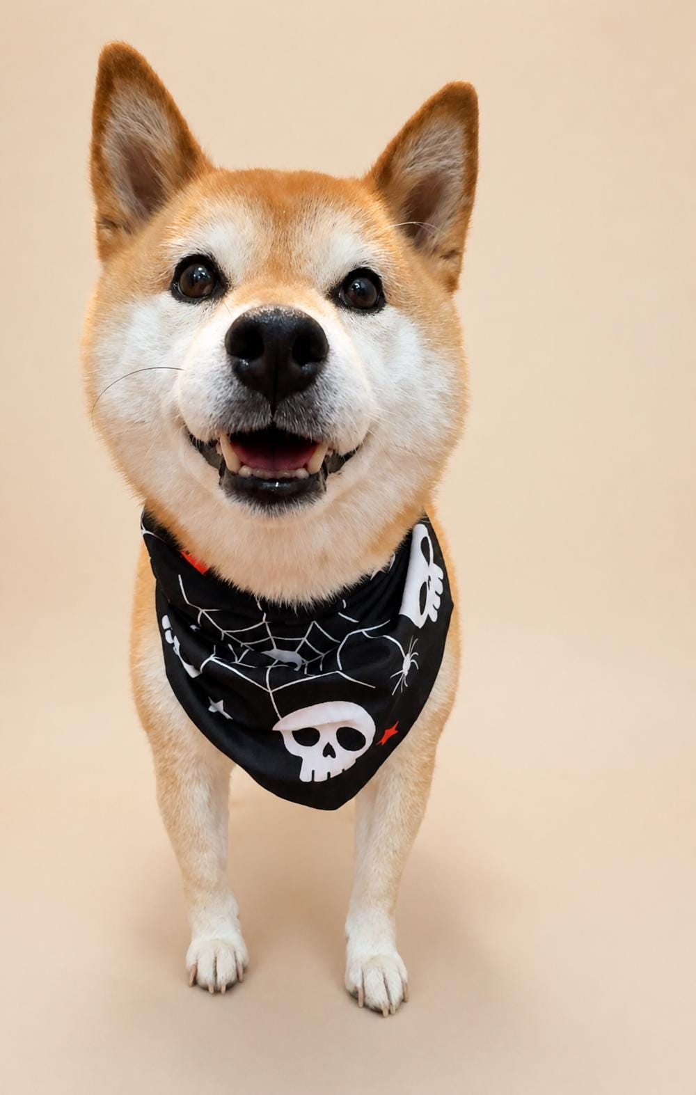 Halloween Dog Bandana, Tie-On Pet Scarf for Dogs & Cats, Pumpkin Ghost Skull Costume Accessory, 3 Spooky Prints