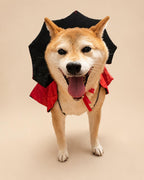 Dog Vampire Cape Costume, Red & Black Halloween Pet Outfit for Dogs and Cats, Adjustable Tie-On Bat Collar