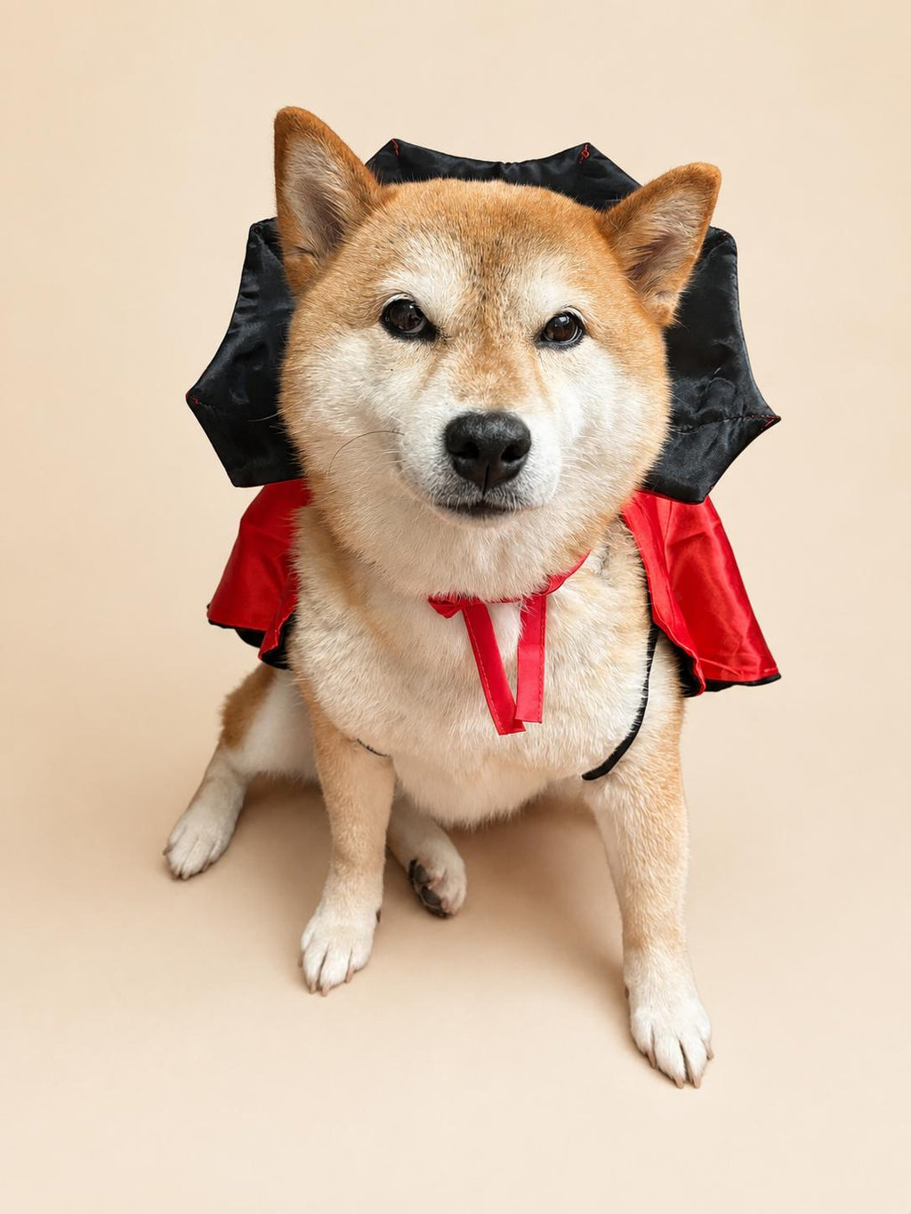 Dog Vampire Cape Costume, Red & Black Halloween Pet Outfit for Dogs and Cats, Adjustable Tie-On Bat Collar