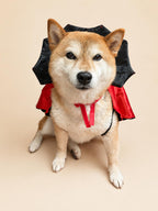 Dog Vampire Cape Costume, Red & Black Halloween Pet Outfit for Dogs and Cats, Adjustable Tie-On Bat Collar