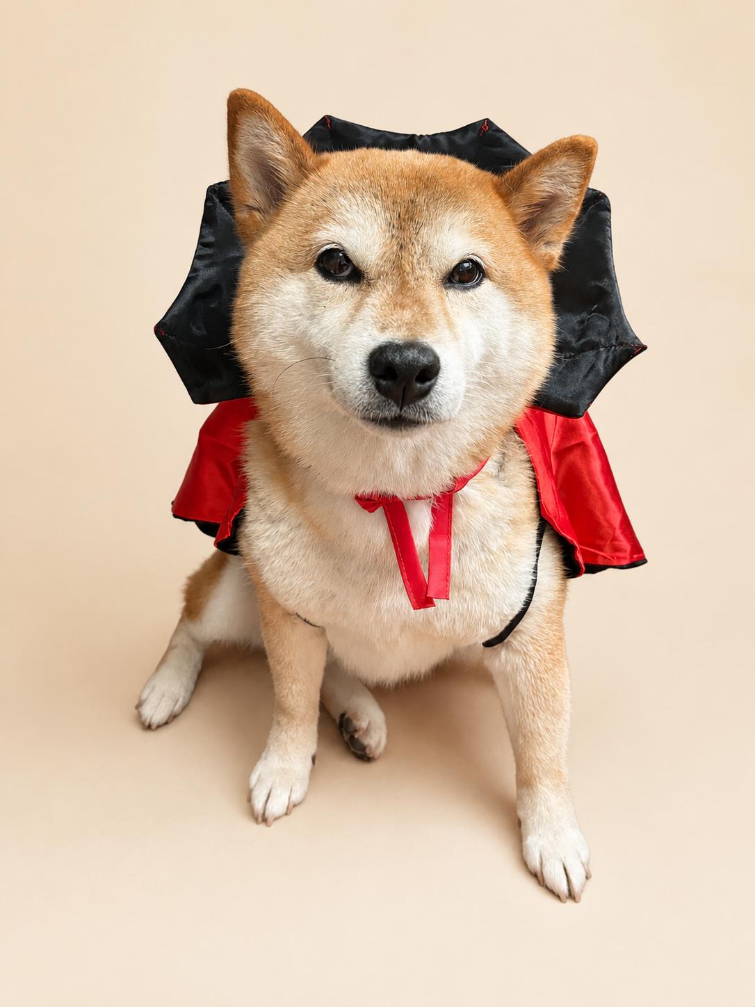 Dog Vampire Cape Costume, Red & Black Halloween Pet Outfit for Dogs and Cats, Adjustable Tie-On Bat Collar
