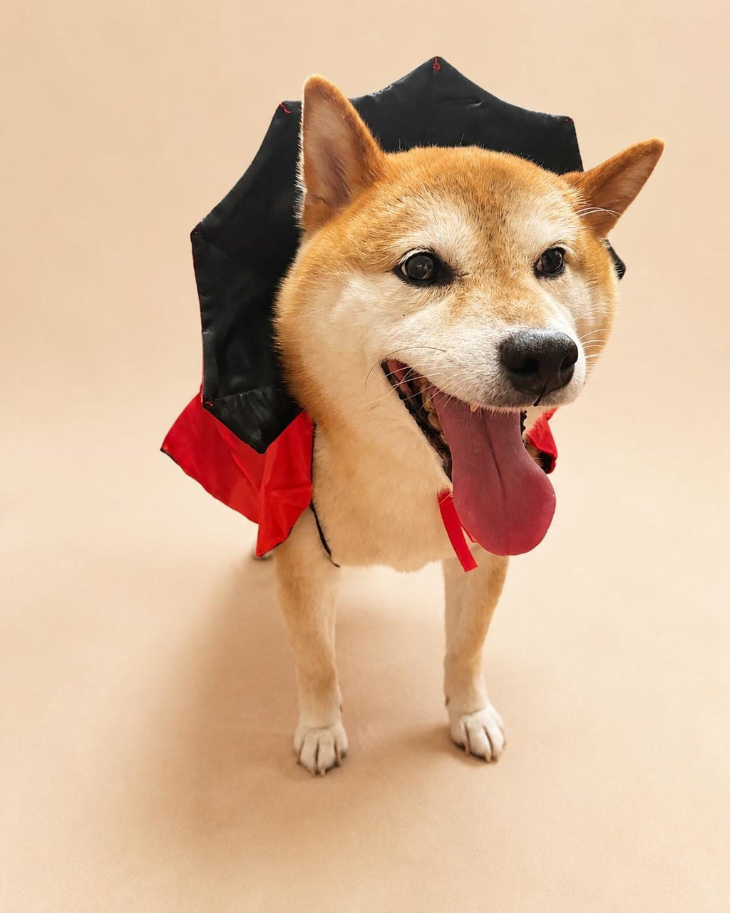 Dog Vampire Cape Costume, Red & Black Halloween Pet Outfit for Dogs and Cats, Adjustable Tie-On Bat Collar