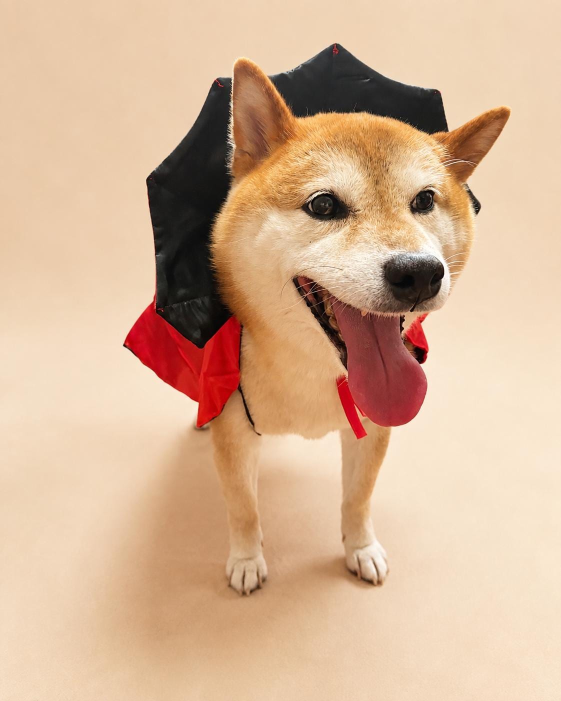 Dog Vampire Cape Costume, Red & Black Halloween Pet Outfit for Dogs and Cats, Adjustable Tie-On Bat Collar