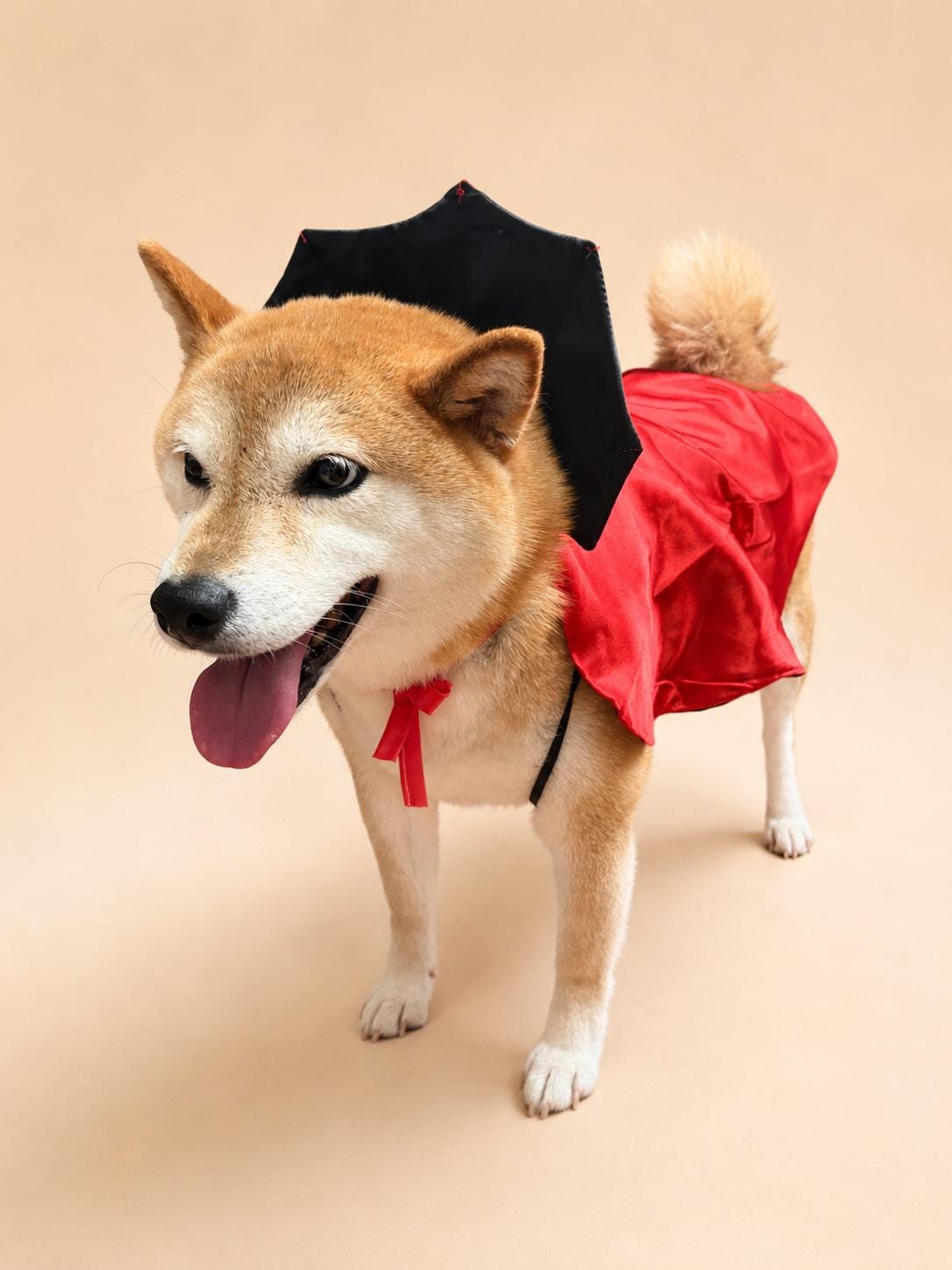 Dog Vampire Cape Costume, Red & Black Halloween Pet Outfit for Dogs and Cats, Adjustable Tie-On Bat Collar