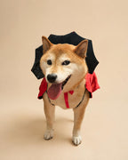 Dog Vampire Cape Costume, Red & Black Halloween Pet Outfit for Dogs and Cats, Adjustable Tie-On Bat Collar