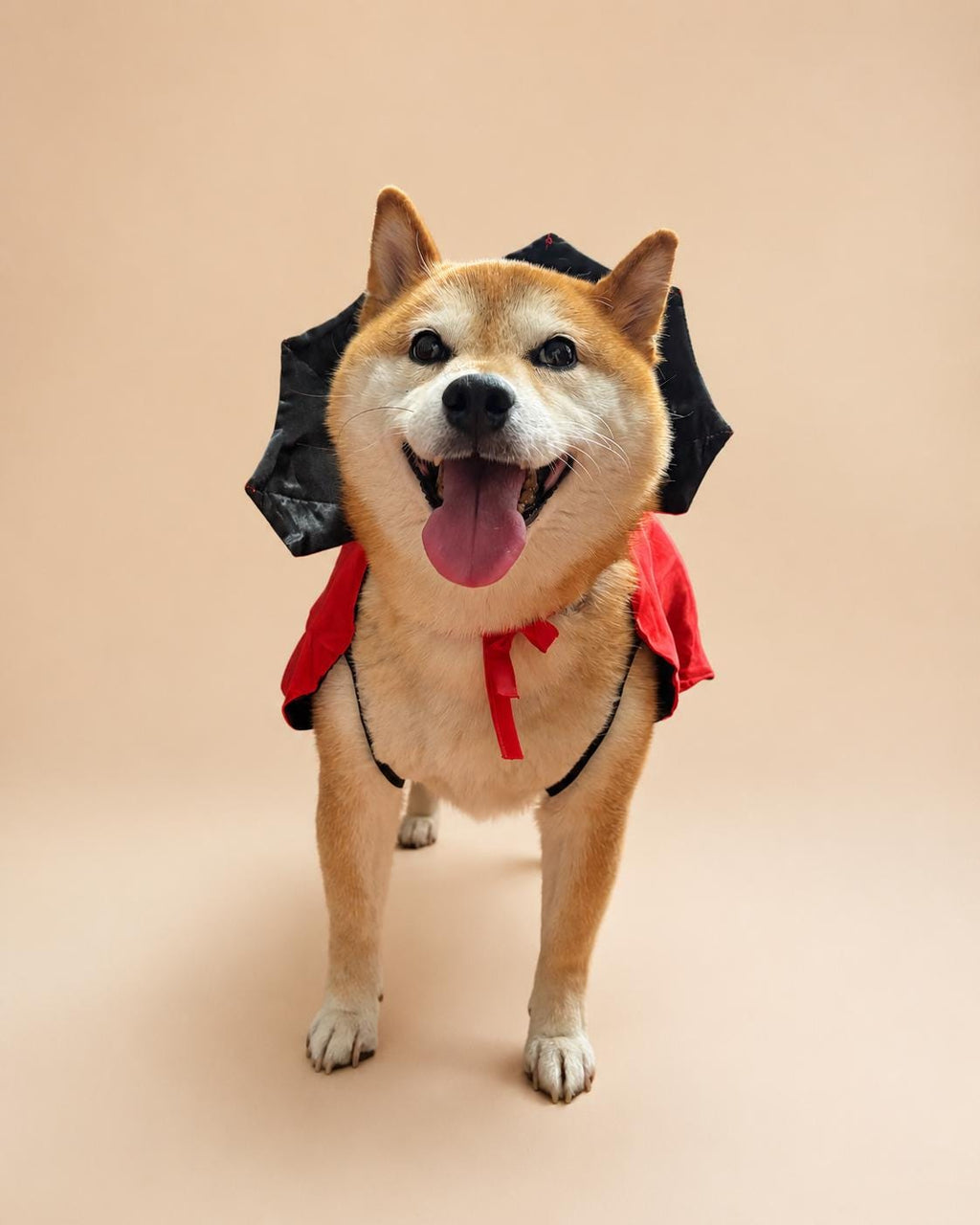 Dog Vampire Cape Costume, Red & Black Halloween Pet Outfit for Dogs and Cats, Adjustable Tie-On Bat Collar