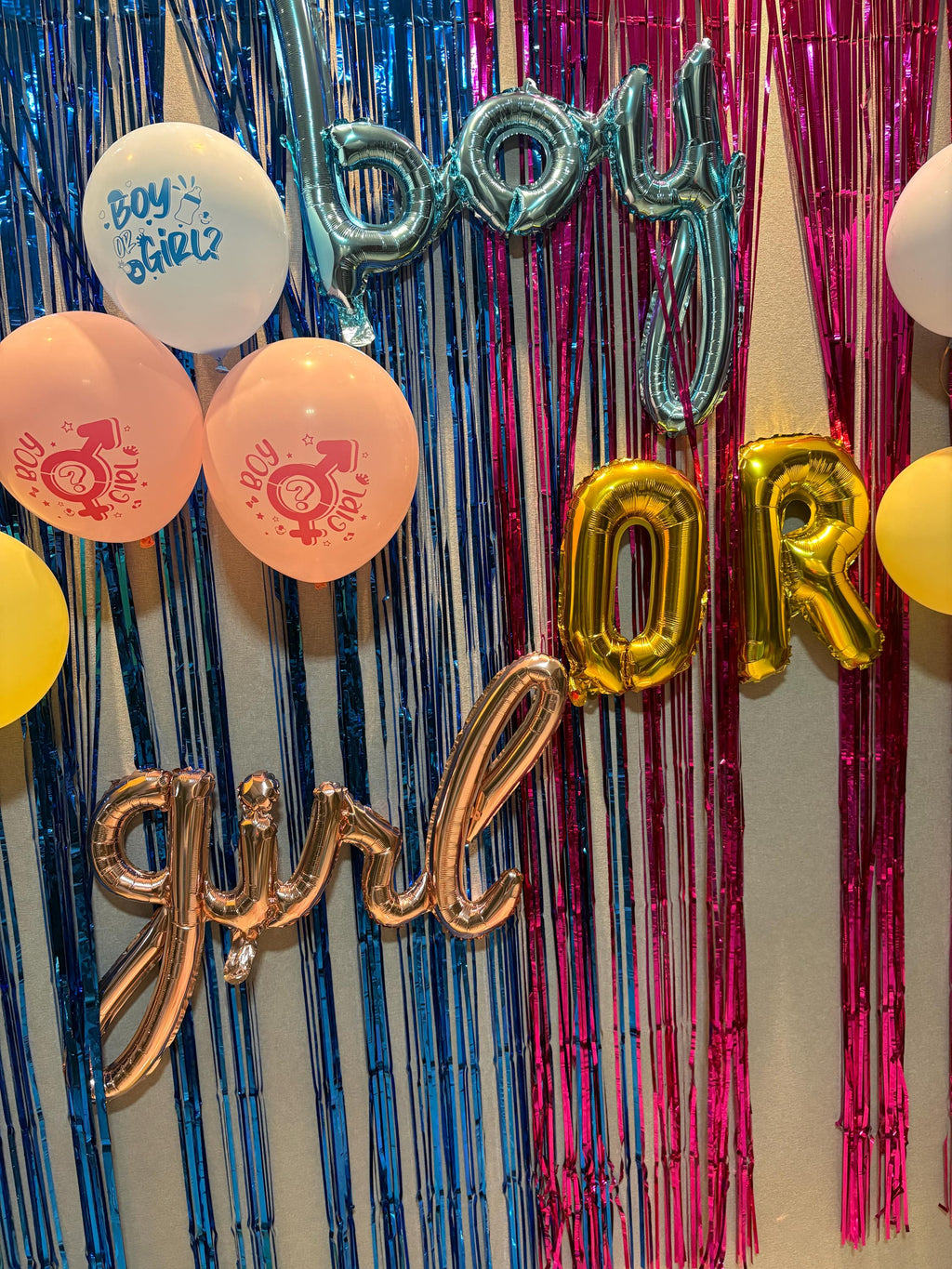 Metallic Fringe Curtain, Sparkly Party Backdrop, Photo Booth Background, Colourful Tassel Door Curtain
