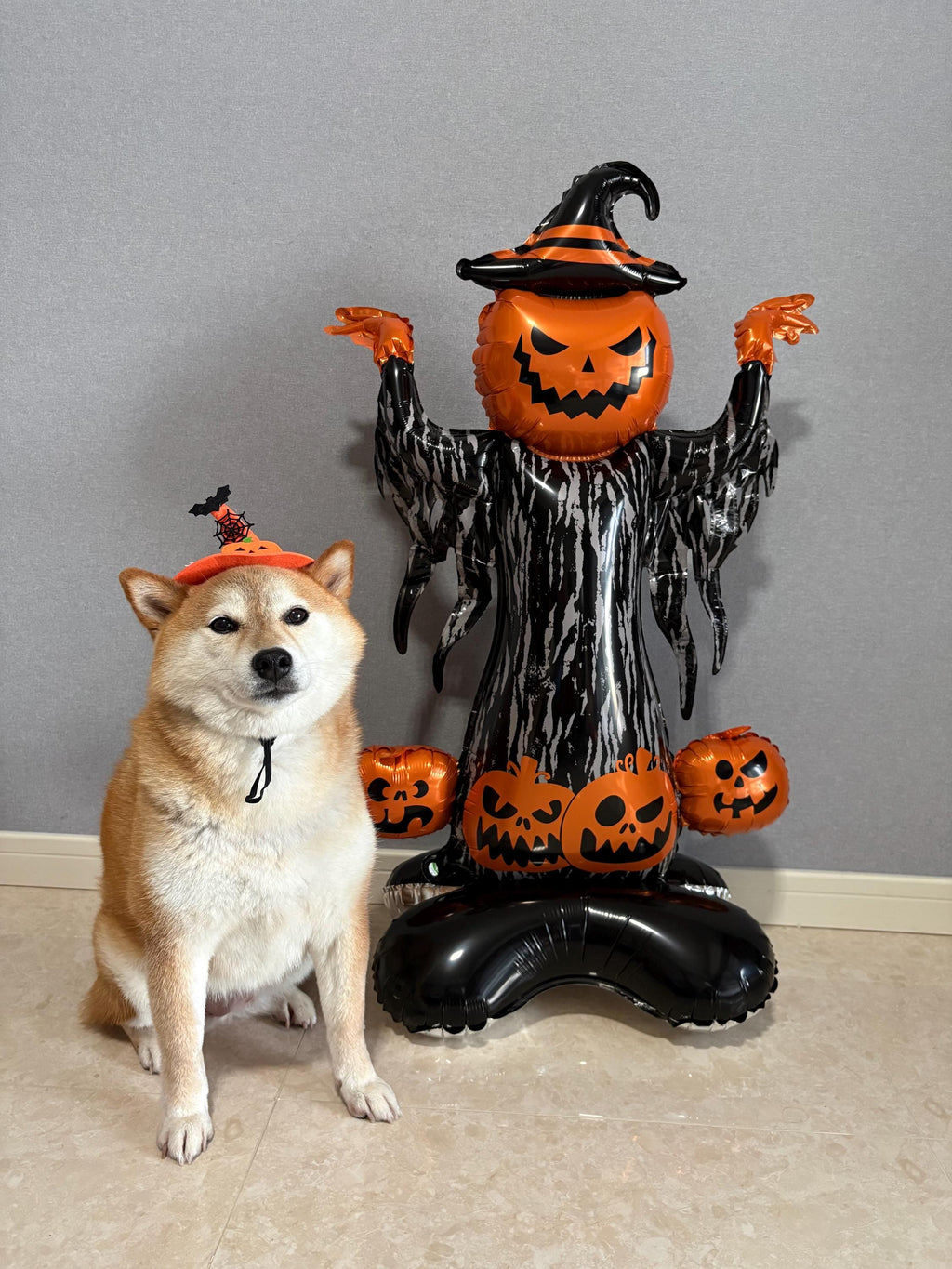 Halloween Pumpkin Witch Balloon Sculpture – Spooky Party Display