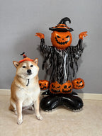 Halloween Pumpkin Witch Balloon Sculpture – Spooky Party Display