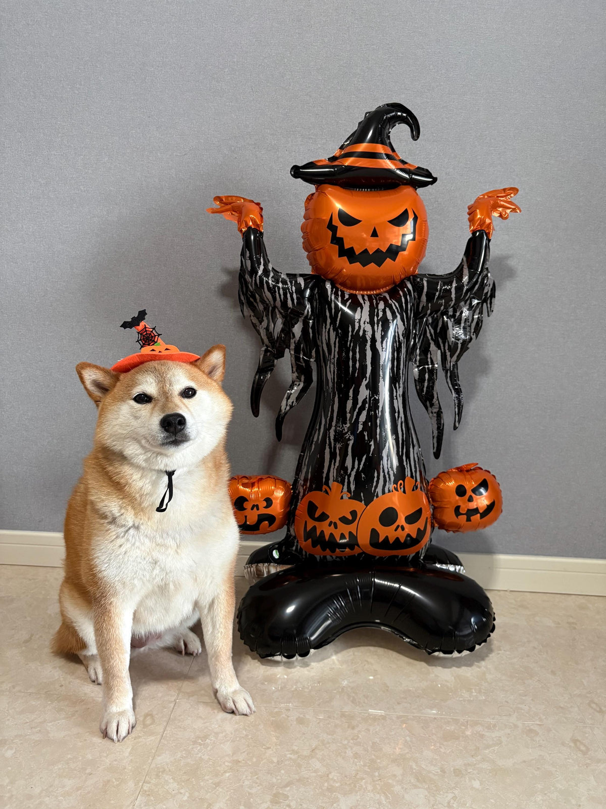 Halloween Pumpkin Witch Balloon Sculpture – Spooky Party Display