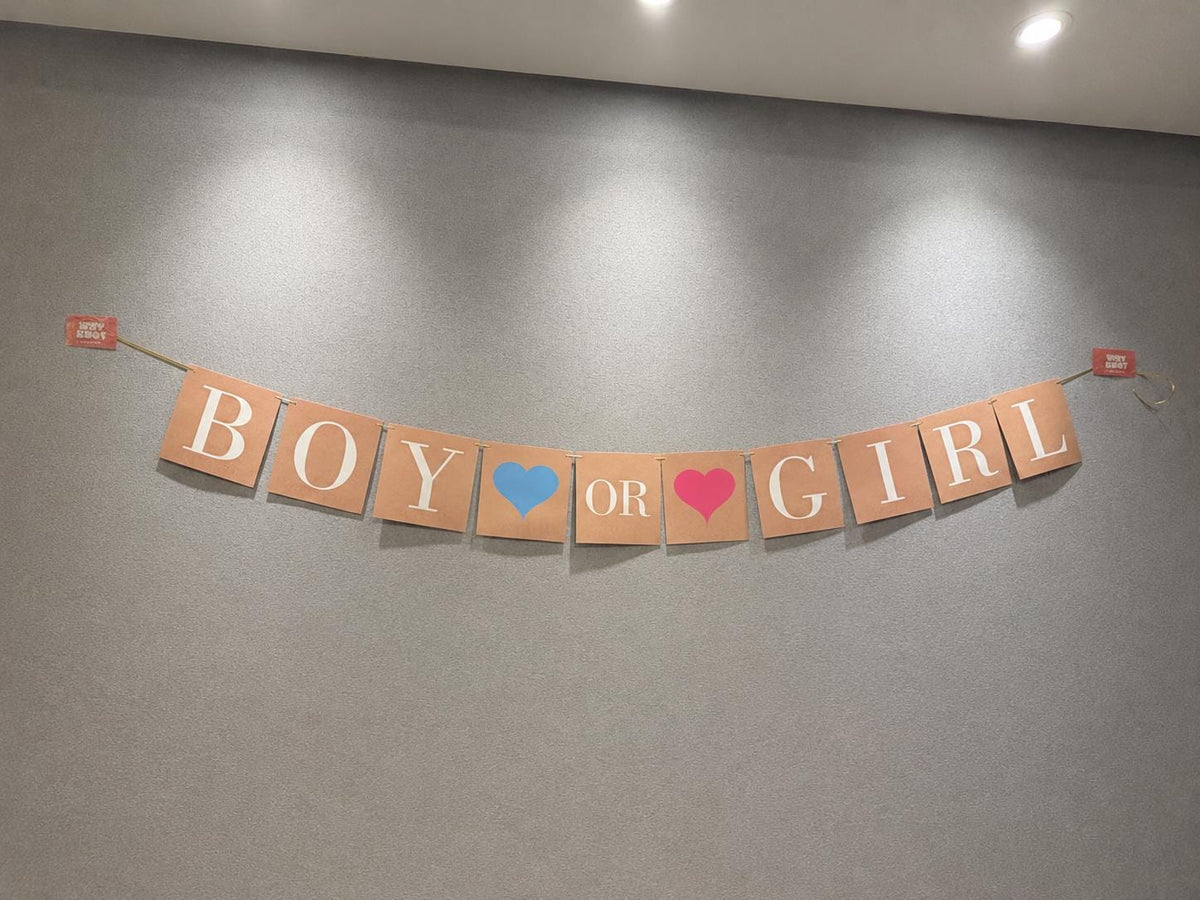 Boy or Girl Banner |Gender Reveal Party Decor |Baby Shower Banner |Vintage Kraft Paper Pull Flag |Gender Reveal Decor |Baby Shower Backdrop