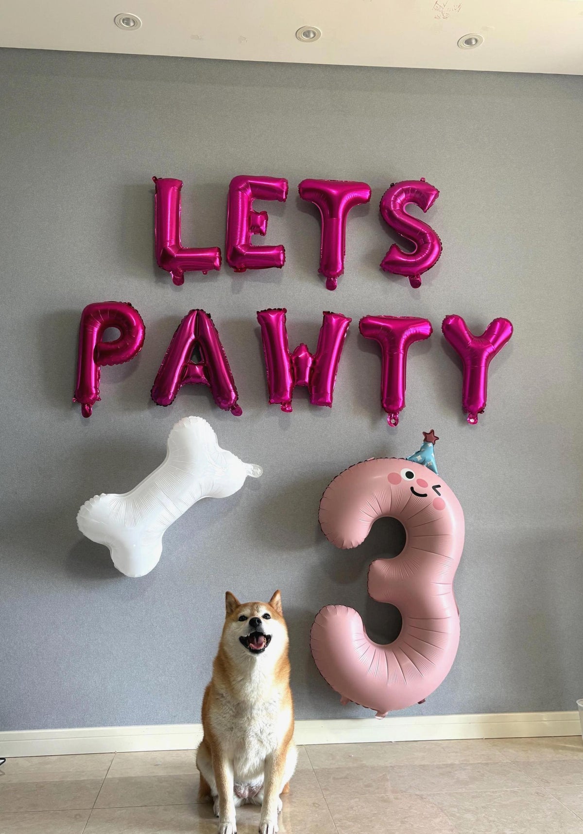 Pet Party Decor: 16" LETS PAWTY Foil Balloons | Dog & Cat Birthday Celebrations | Fun Pawty Balloons