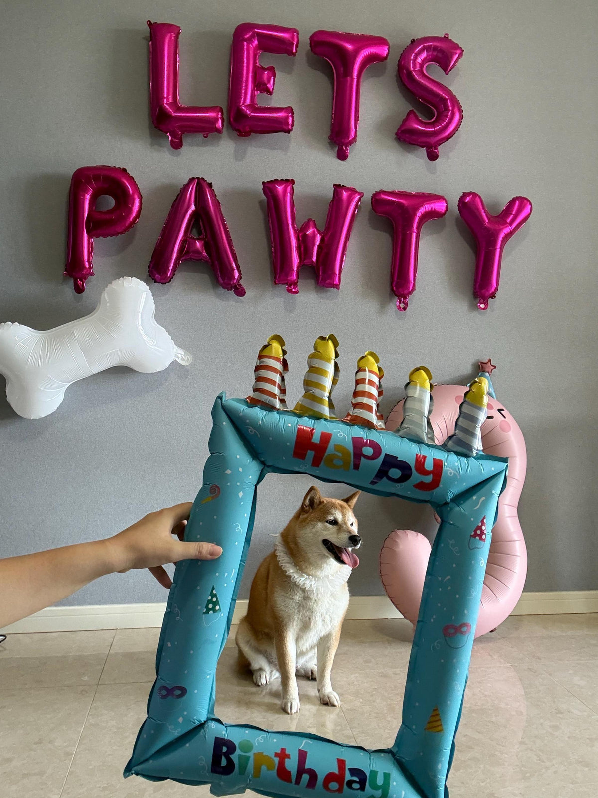 Pet Party Decor: 16" LETS PAWTY Foil Balloons | Dog & Cat Birthday Celebrations | Fun Pawty Balloons