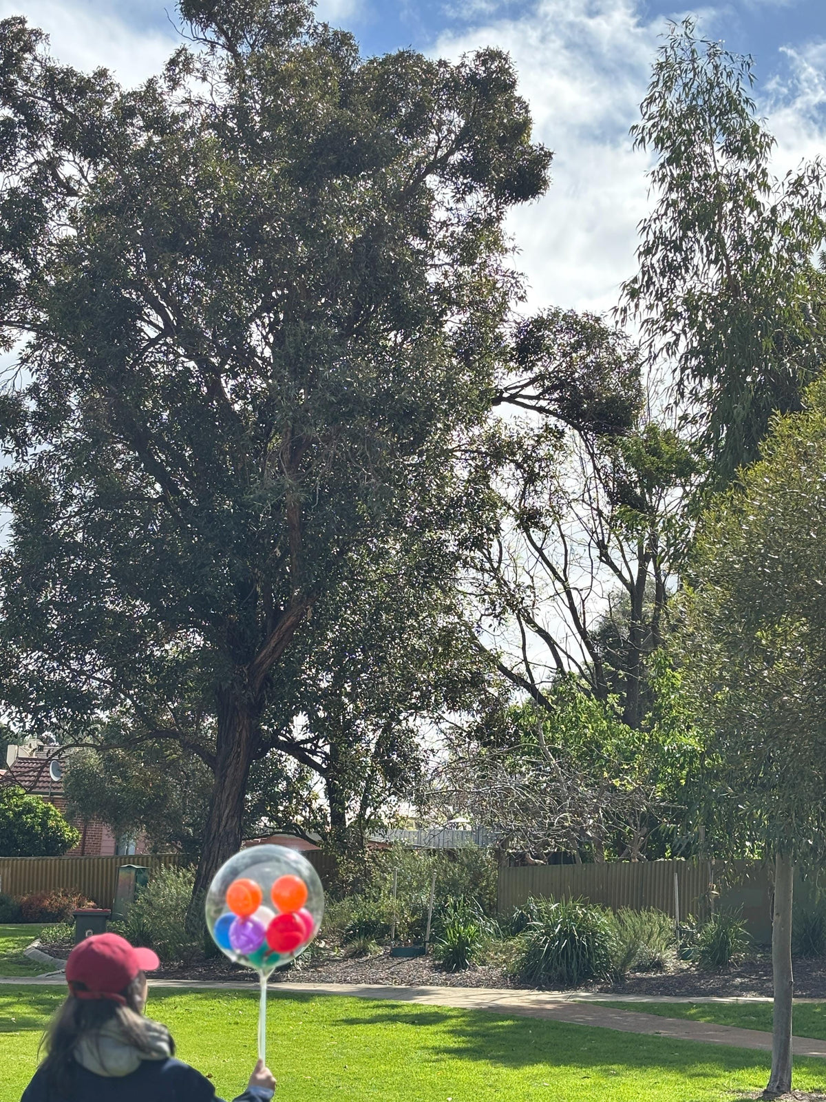 24'' Customisable Bobo Balloon - Colourful Mini Balloon Bouquet for Birthday Gifts & Party Decor
