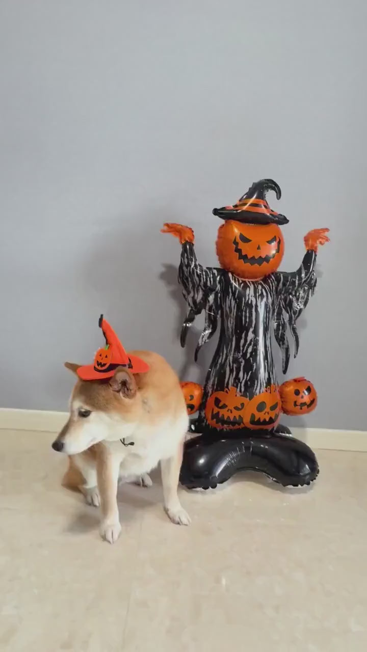 Halloween Pumpkin Witch Balloon Sculpture – Spooky Party Display