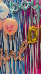 Metallic Fringe Curtain, Sparkly Party Backdrop, Photo Booth Background, Colourful Tassel Door Curtain